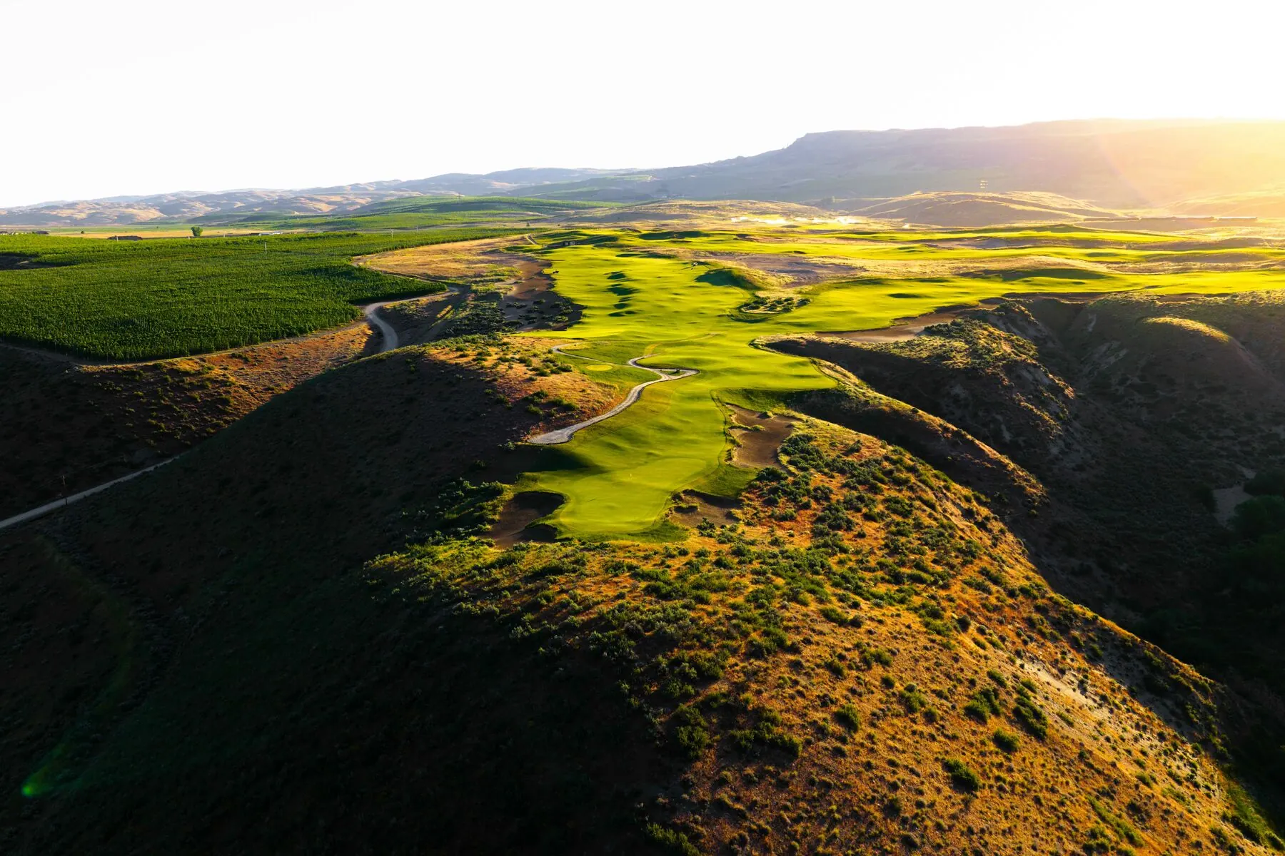 Green cut into the hillside above the orchards at sunset