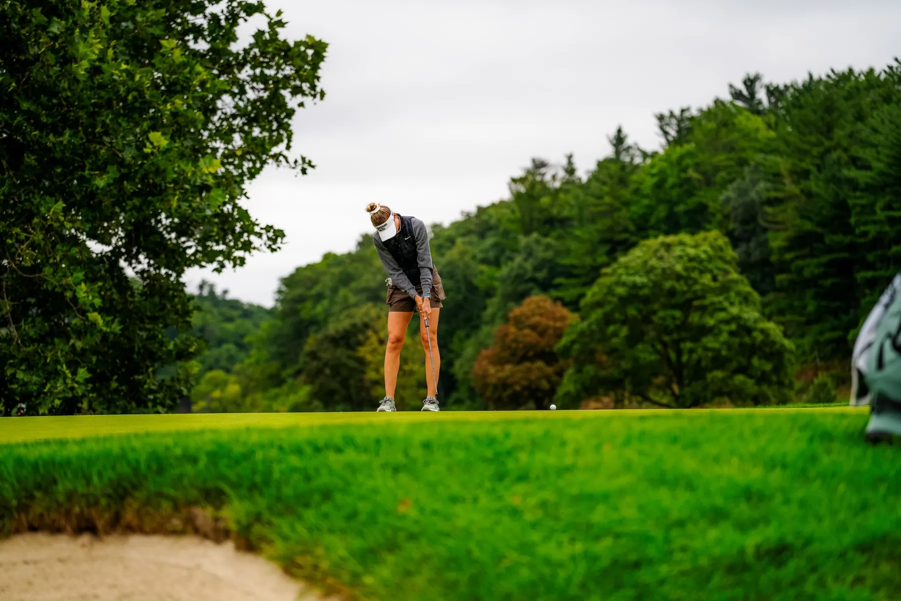 A player putting on a tree-lined green