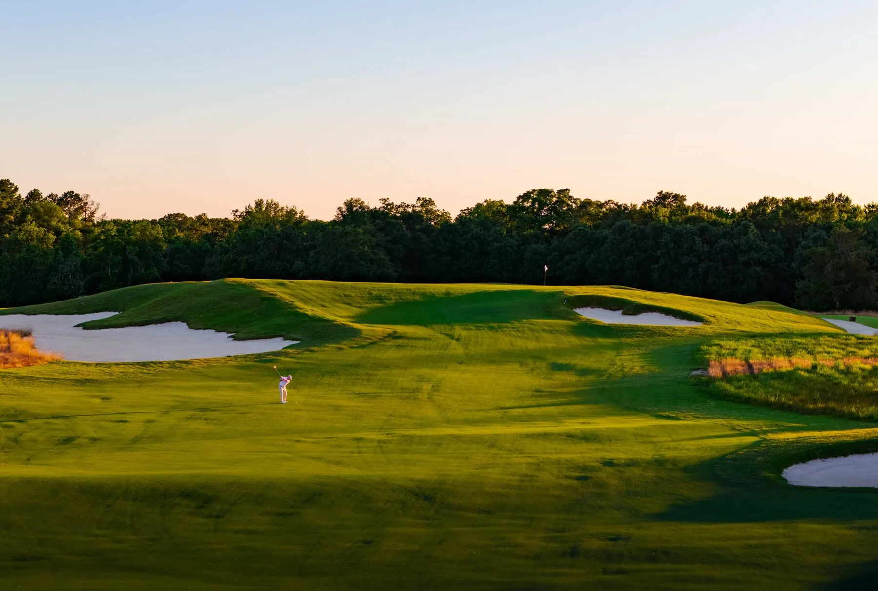 Green and bunkers at Mossy Oak