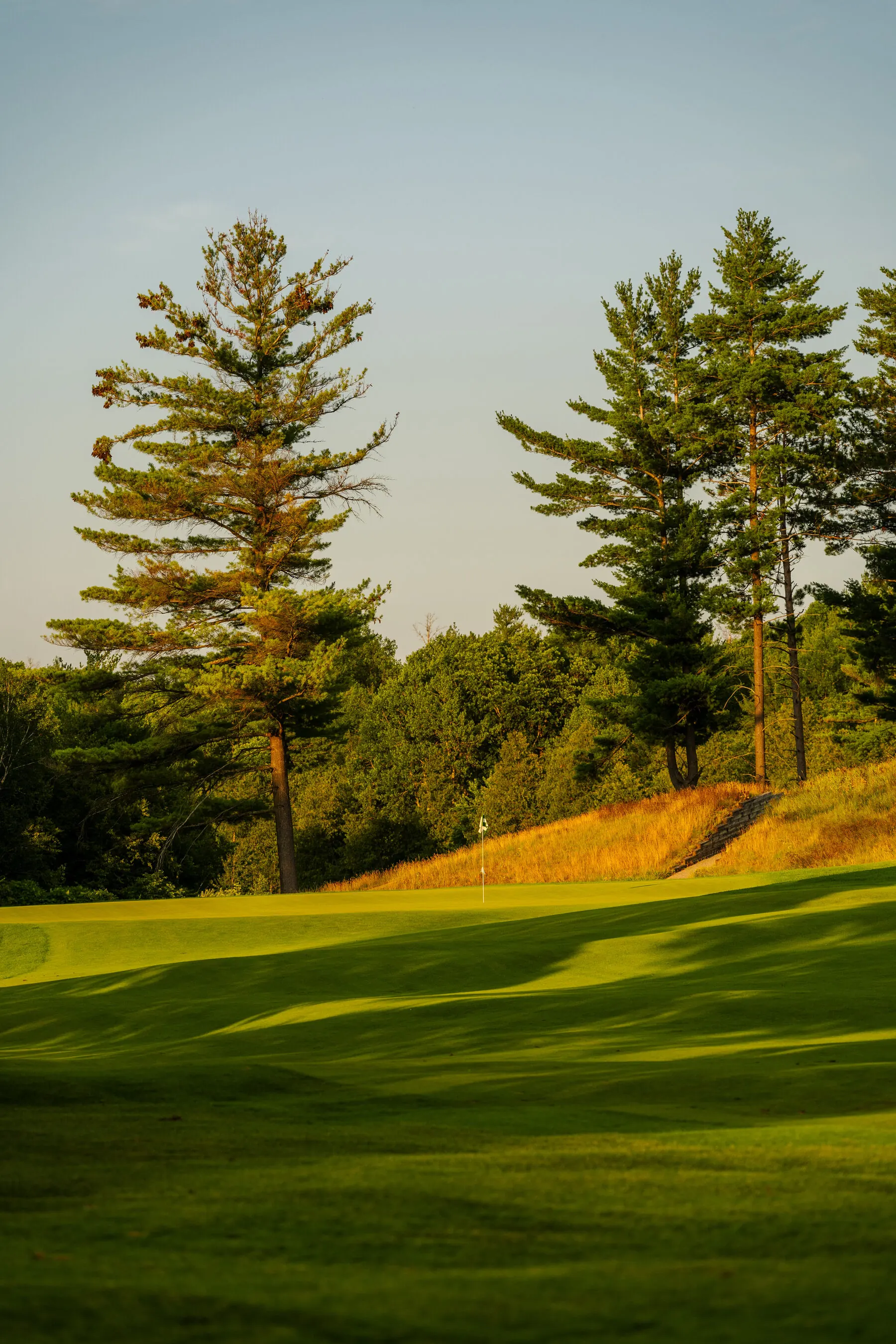 Fairway and bunkers at Summit