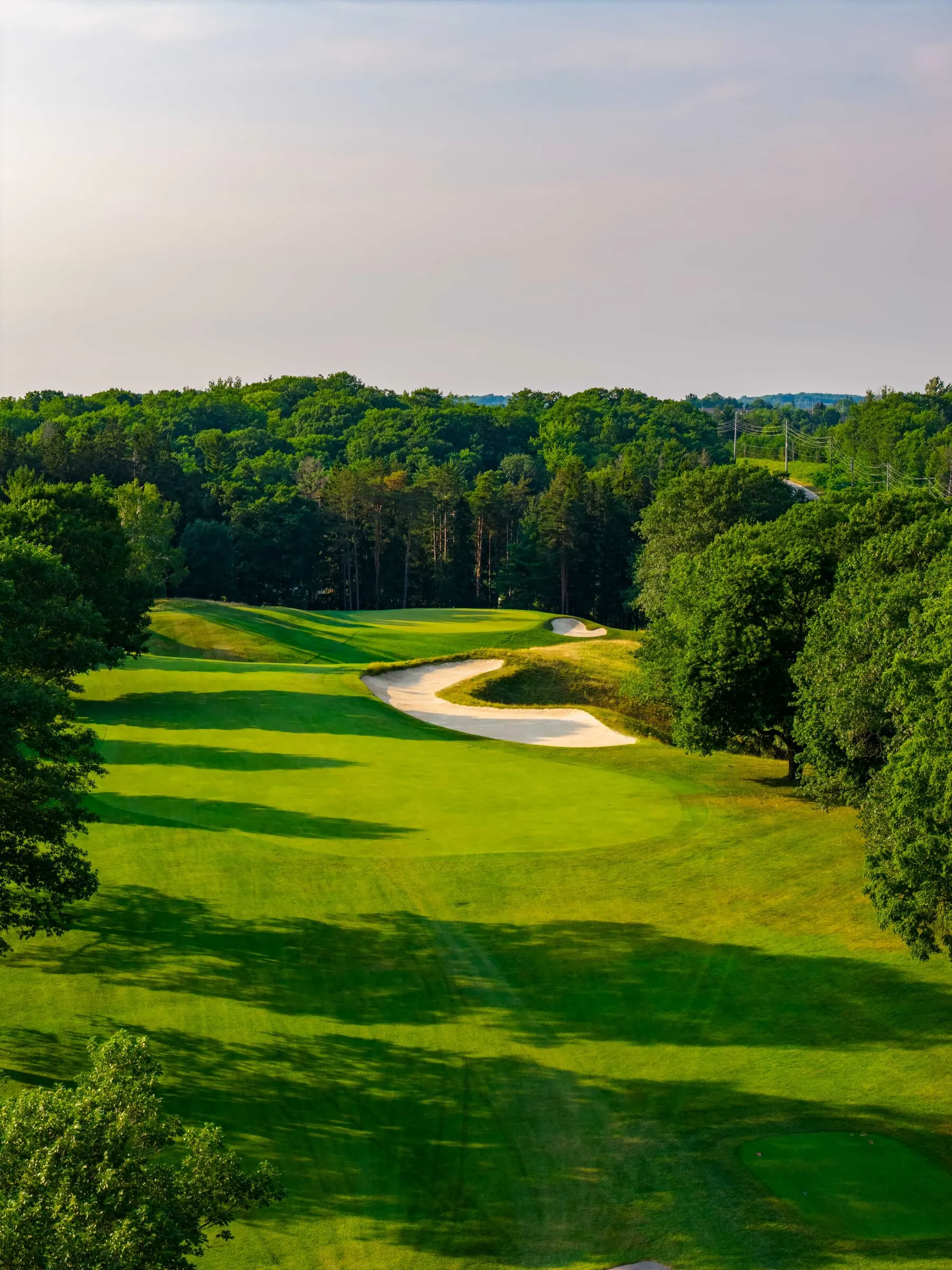 Green and bunker through the wooded valley