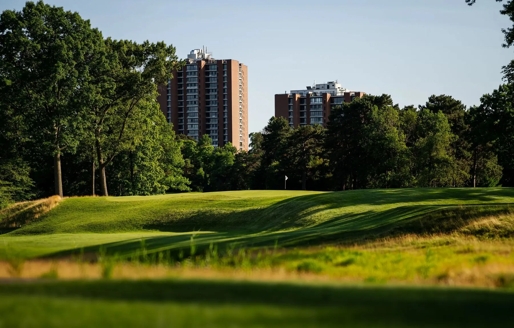 Fairway at dusk at Toronto Golf Club